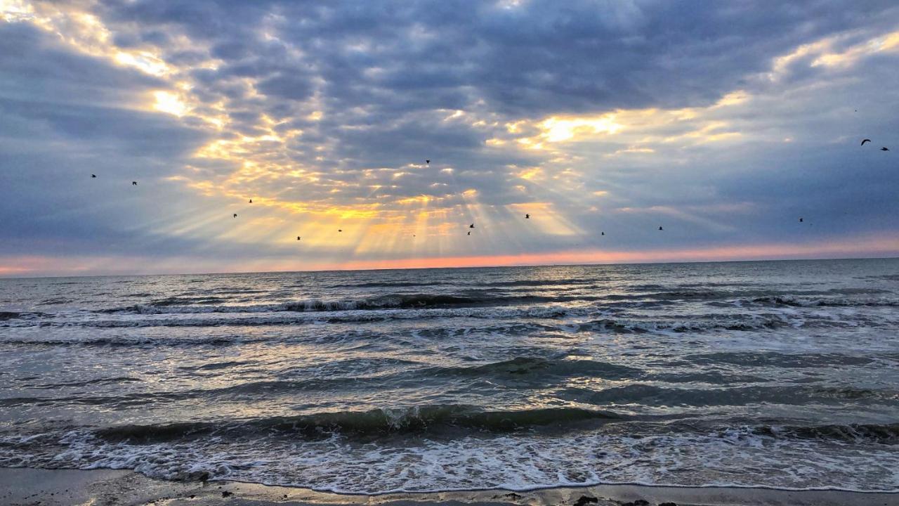 Lucky Star Studio Mamaia Nord Năvodari Εξωτερικό φωτογραφία
